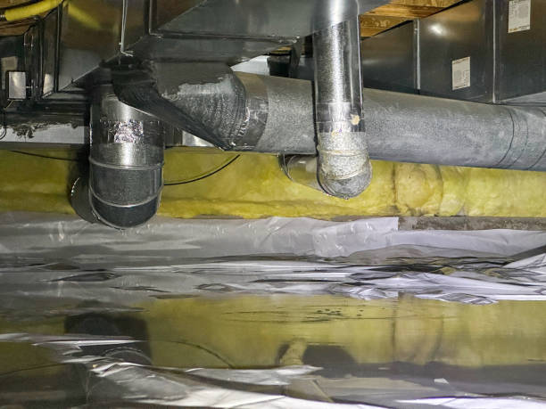 Best Basement Water Damage Restoration in Ahtanum, WA