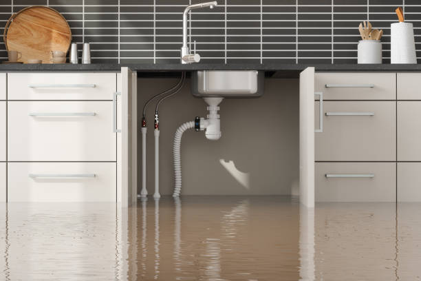 Best Commercial Water Damage Restoration in Ahtanum, WA